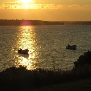 Meet your Posher, Lindsay